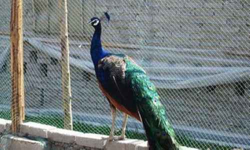 點（diǎn）擊新窗口打開（kāi）大（dà）圖