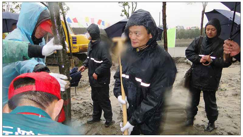 彩鋼瓦（wǎ）公司相聚杭州 與馬雲一起植樹